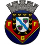 Logo fondo visitante