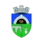 Logo del equipo Anenii Noi