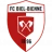Logo del equipo Biel-Bienne