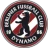 Logo del equipo BFC Dynamo