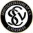 Logo del equipo SV Elversberg