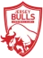 Logo del equipo Jersey Bulls