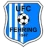 Logo del equipo UFC Fehring