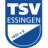 Logo del equipo Essingen