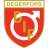 Logo del equipo Degerfors IF