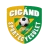 Logo del equipo Cigand SE