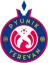Logo del equipo Pyunik