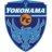 Logo del equipo Yokohama F.C.