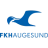 Logo del equipo Haugesund
