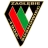 Logo del equipo Zaglebie Sosnowiec