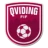 Logo del equipo Qviding FIF
