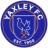 Logo del equipo Yaxley