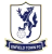 Logo del equipo Enfield Town