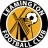Logo del equipo Leamington