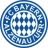 Logo del equipo Bayern Alzenau