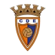 Escudo de Estarreja