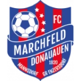 Logo fondo visitante