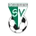 Escudo de Dornbirner SV