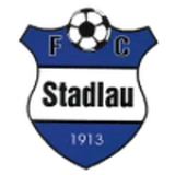 Logo fondo visitante