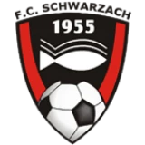 Logo fondo visitante