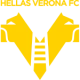 Escudo de Verona