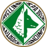 Logo fondo visitante