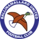 Escudo de Ballinamallard United