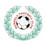 Logo fondo visitante