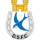 Dungannon Swifts