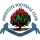 Escudo de Institute