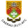 Escudo de Caerau (Ely)