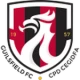 Logo local