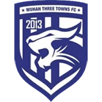 Wuhan Three Towns logo