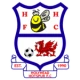 Escudo de Holyhead Hotspur