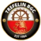Escudo de Trefelin