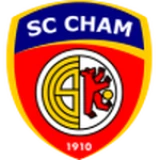 Logo local