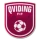 Escudo de Qviding FIF