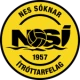 Escudo de NSI Runavik