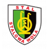 Logo fondo visitante