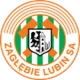 Logo local