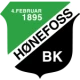 Escudo de Hønefoss