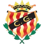 Gimnastic logo