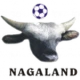 Logo local