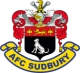 Logo local