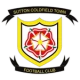 Escudo de Sutton Coldfield Town