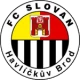 Escudo de Havlíčkův Brod