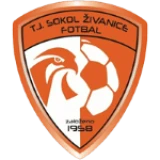 Logo fondo visitante