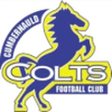 Logo visitante