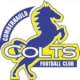 Escudo de Cumbernauld Colts
