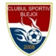 Escudo de Blejoi